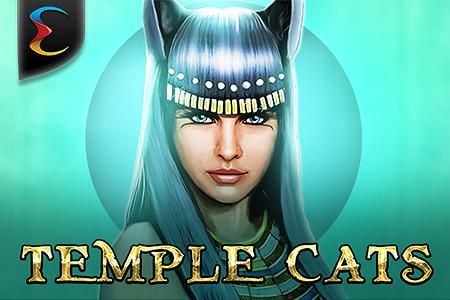 Temple Cats